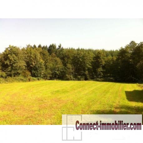 62170 terrain constructible borne