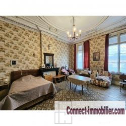 MAISON DE MAITRE AVEC HANGAR, DEPENDANCES ET JARDIN