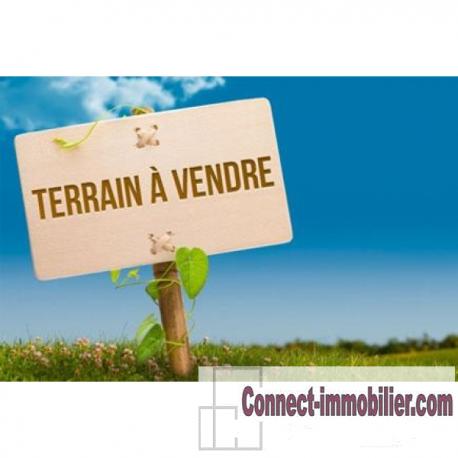 berck terrain 6000m²