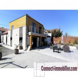 Magnifique maison individuel à Vred