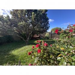 LEERS 4chambres jardin top