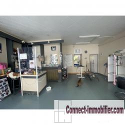 Immeuble