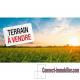 62180 terrain constructible