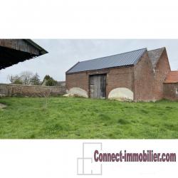 Grange à rénover avec beau terrain