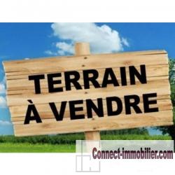 Coulon ZC 177