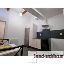 immeuble 2 apparts+ 1 garage
